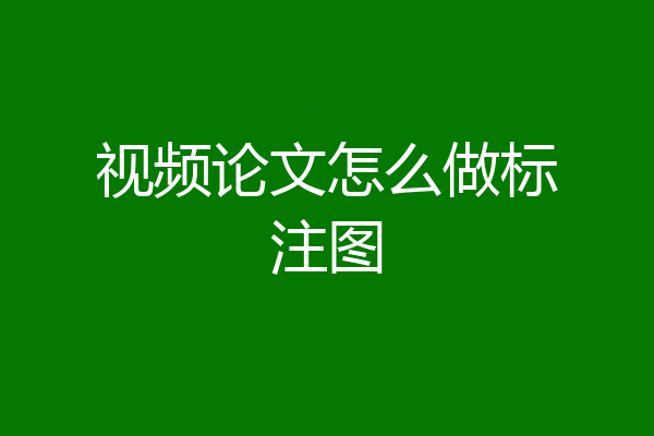 视频论文怎么做标注图