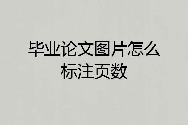 毕业论文图片怎么标注页数