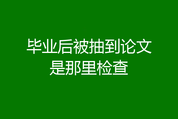 毕业后被抽到论文是那里检查