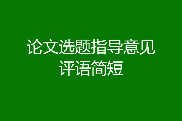 论文选题指导意见评语简短