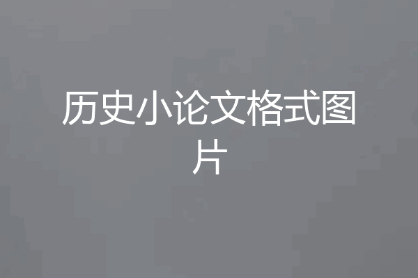 历史小论文格式图片