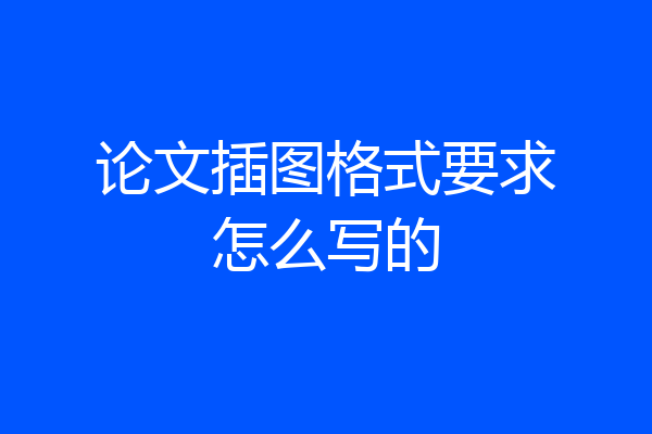 论文插图格式要求怎么写的