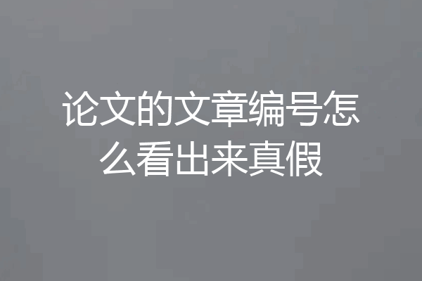 论文的文章编号怎么看出来真假
