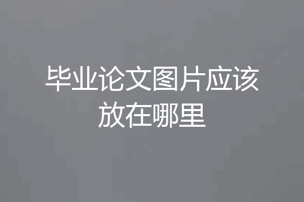 毕业论文图片应该放在哪里