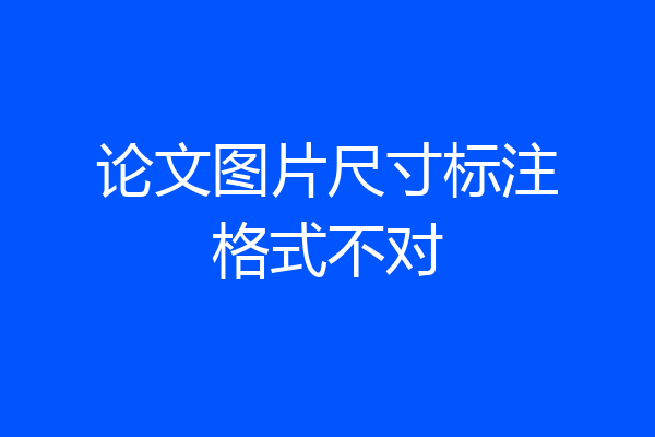 论文图片尺寸标注格式不对
