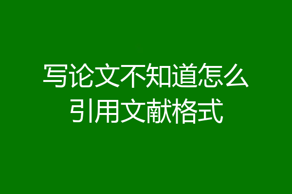 写论文不知道怎么引用文献格式