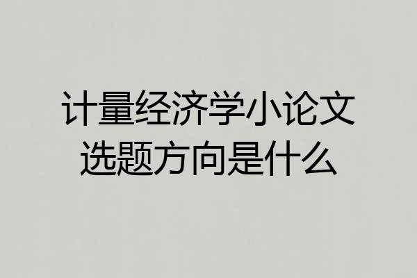 计量经济学小论文选题方向是什么