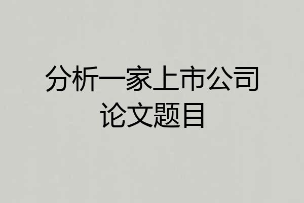 分析一家上市公司论文题目