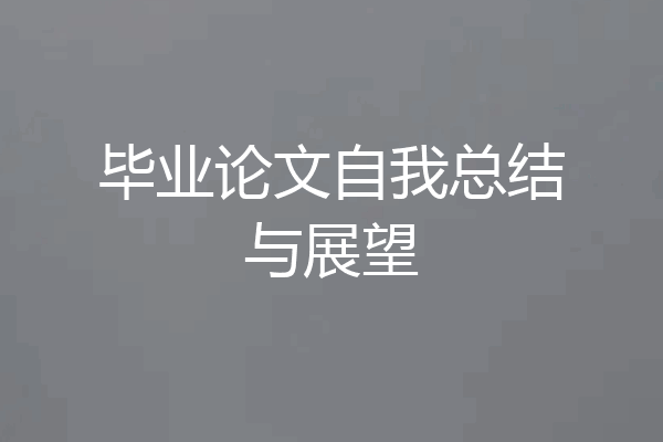毕业论文自我总结与展望