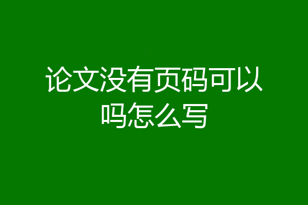 论文没有页码可以吗怎么写