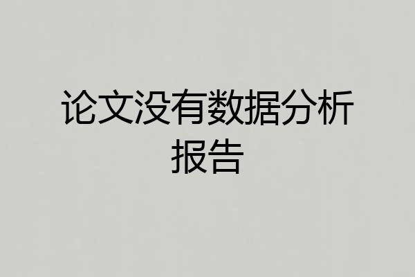 论文没有数据分析报告