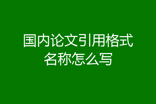 国内论文引用格式名称怎么写