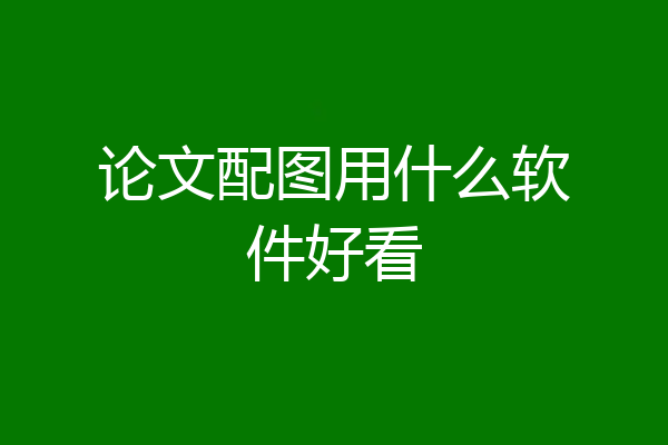 论文配图用什么软件好看