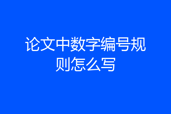 论文中数字编号规则怎么写