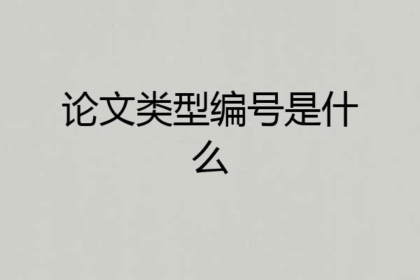 论文类型编号是什么
