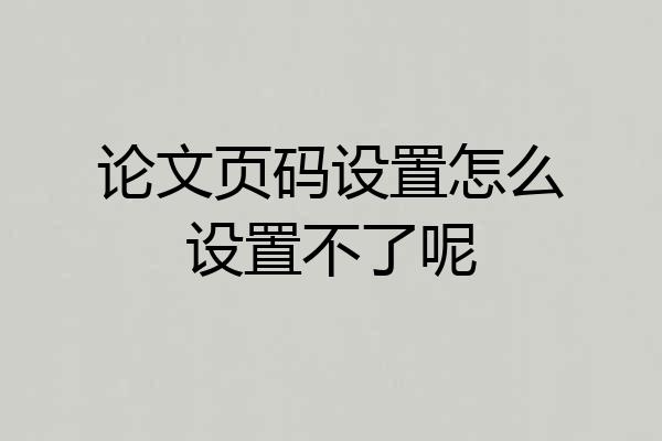 论文页码设置怎么设置不了呢