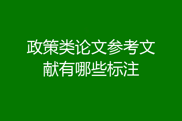 政策类论文参考文献有哪些标注