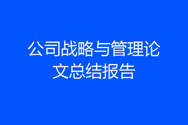 公司战略与管理论文总结报告