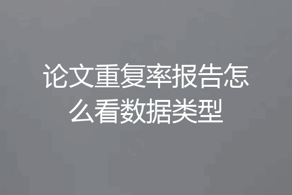 论文重复率报告怎么看数据类型