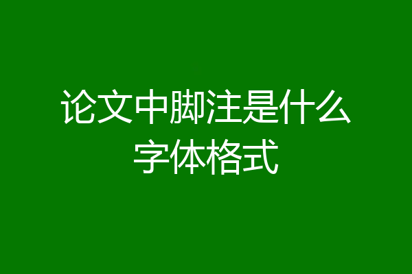 论文中脚注是什么字体格式