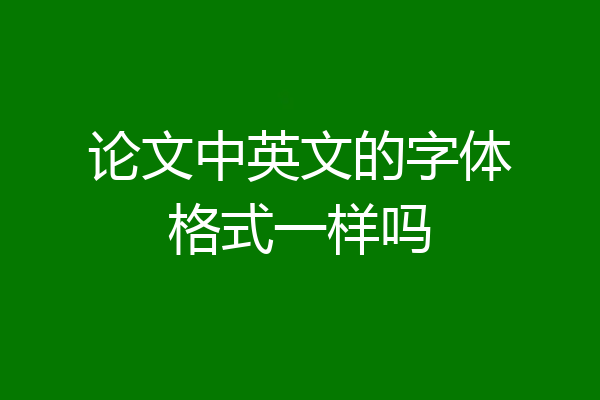 论文中英文的字体格式一样吗