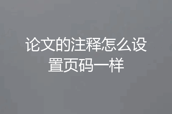 论文的注释怎么设置页码一样