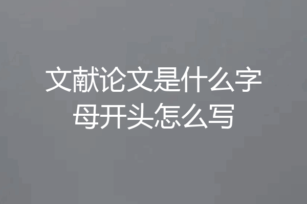 文献论文是什么字母开头怎么写