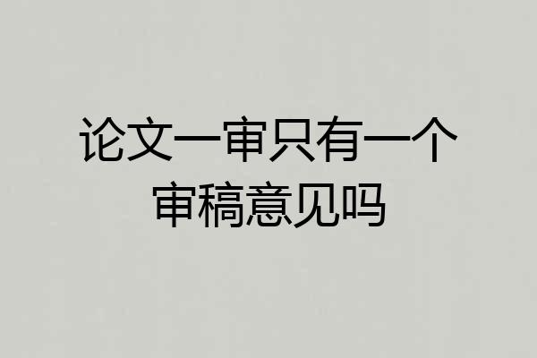 论文一审只有一个审稿意见吗