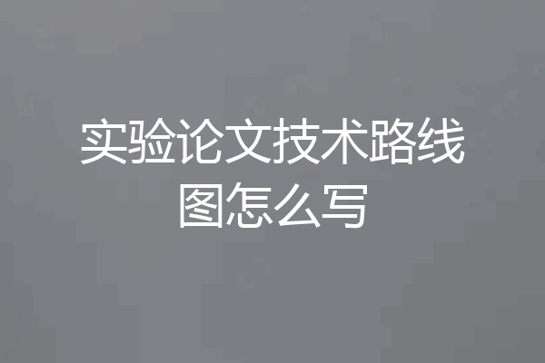 实验论文技术路线图怎么写