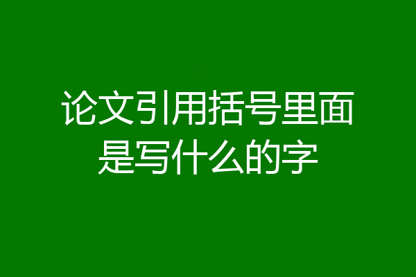 论文引用括号里面是写什么的字