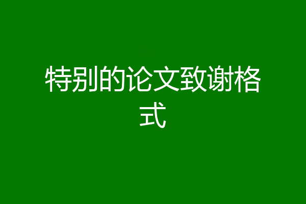 特别的论文致谢格式