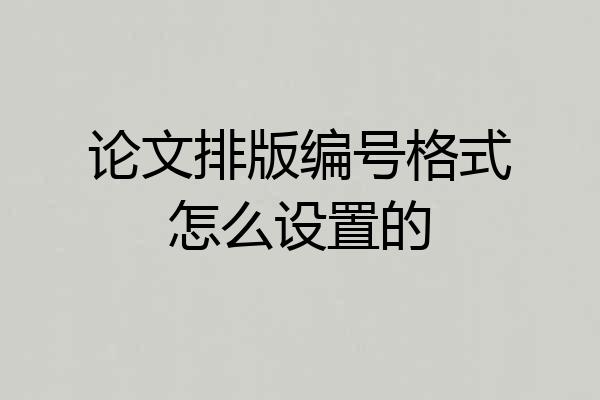 论文排版编号格式怎么设置的