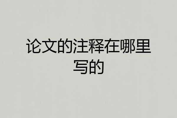 论文的注释在哪里写的