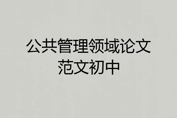 公共管理领域论文范文初中