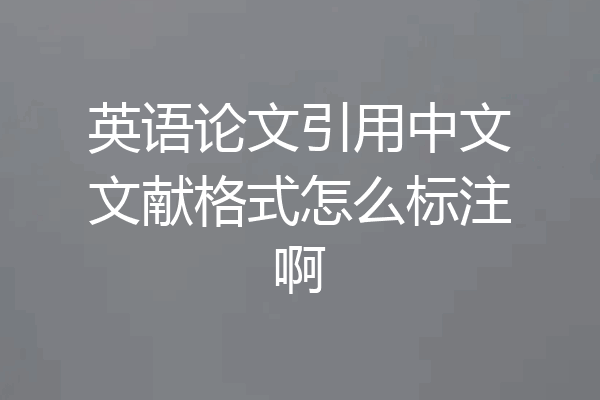 英语论文引用中文文献格式怎么标注啊