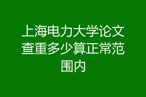 上海电力大学论文查重多少算正常范围内