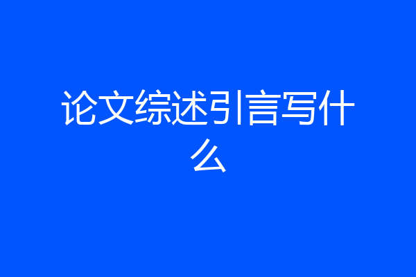 论文综述引言写什么