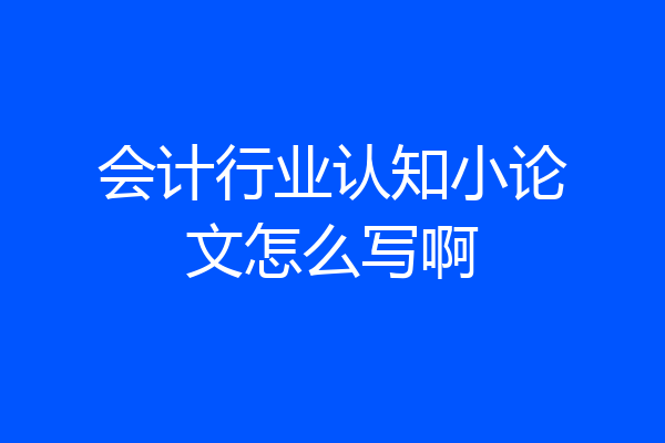 会计行业认知小论文怎么写啊
