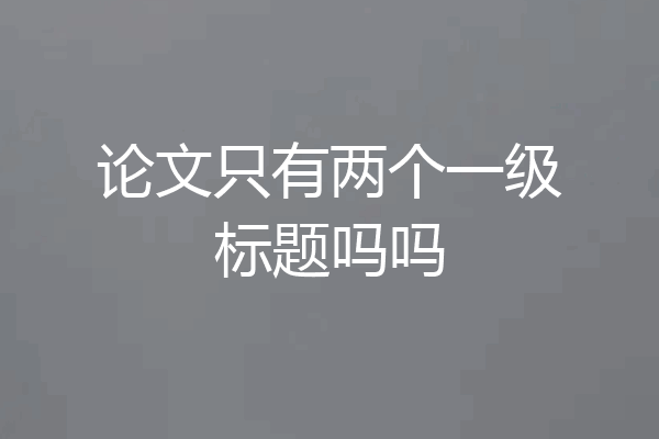 论文只有两个一级标题吗吗