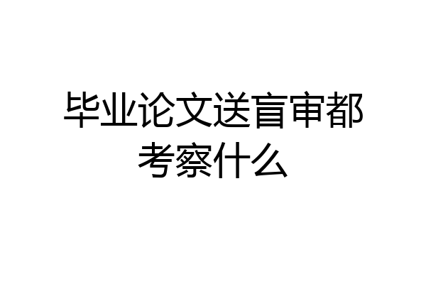毕业论文送盲审都考察什么