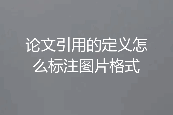 论文引用的定义怎么标注图片格式