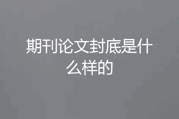 期刊论文封底是什么样的
