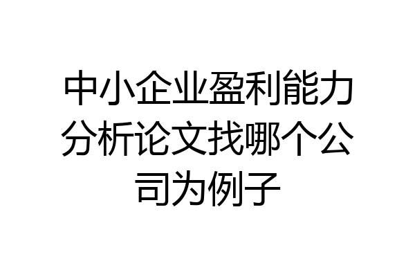 中小企业盈利能力分析论文找哪个公司为例子