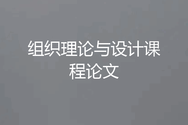 组织理论与设计课程论文