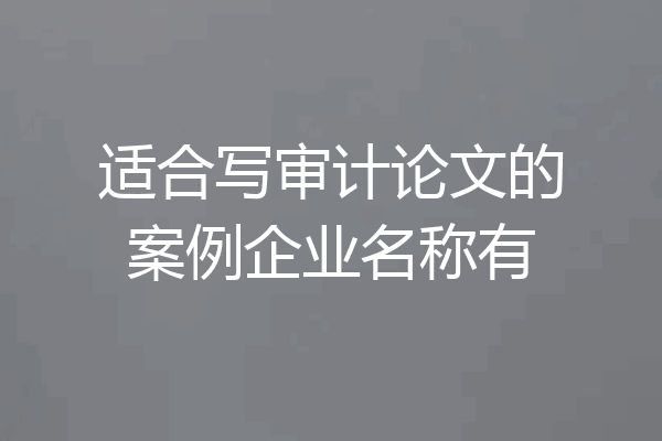 适合写审计论文的案例企业名称有