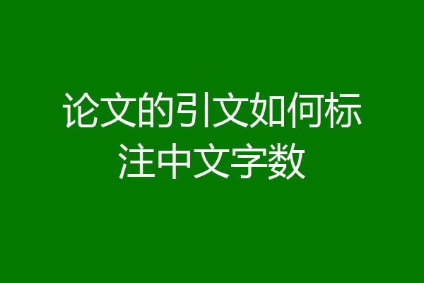论文的引文如何标注中文字数