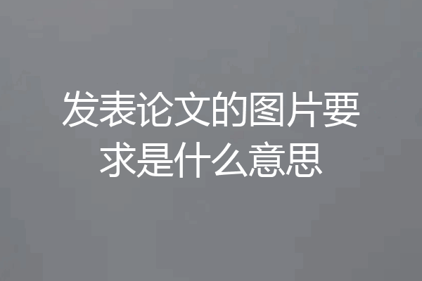 发表论文的图片要求是什么意思
