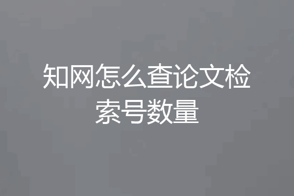 知网怎么查论文检索号数量