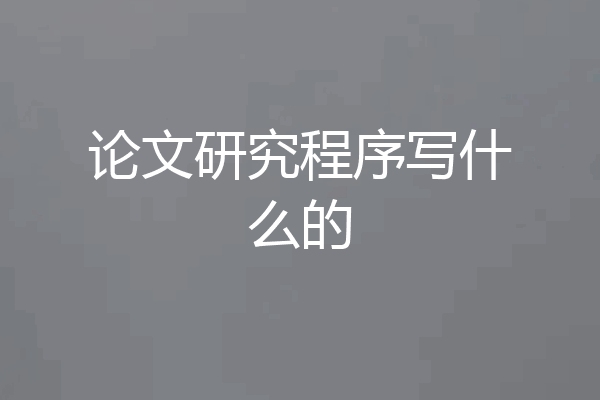 论文研究程序写什么的