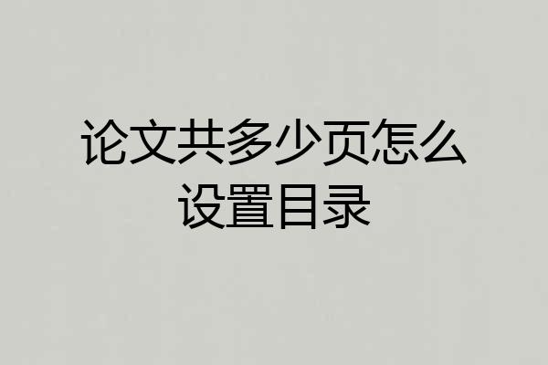 论文共多少页怎么设置目录